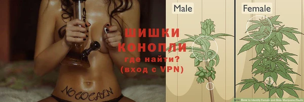 эйфоретик Армянск