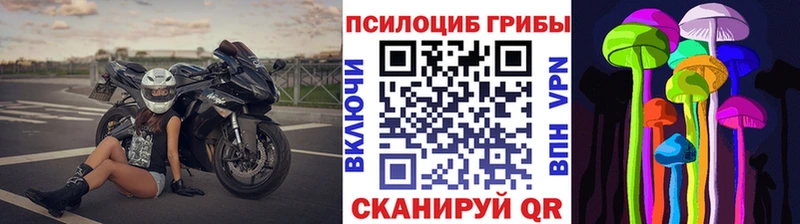 Псилоцибиновые грибы GOLDEN TEACHER  как найти наркотики  ОМГ ОМГ зеркало  Артёмовский 